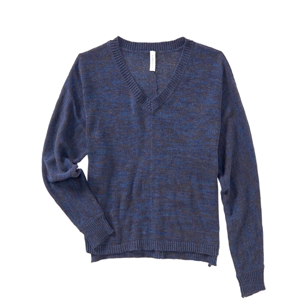 🌻Aeropostale  v-neck pullover blue sweater
